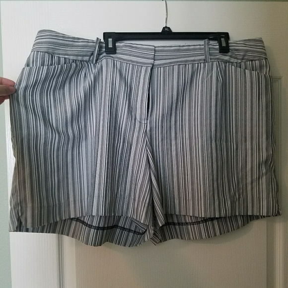 Cato Pants - Cato Classic Shorts Plus 24W